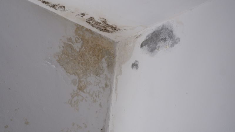 Signs You Need Waterproofing